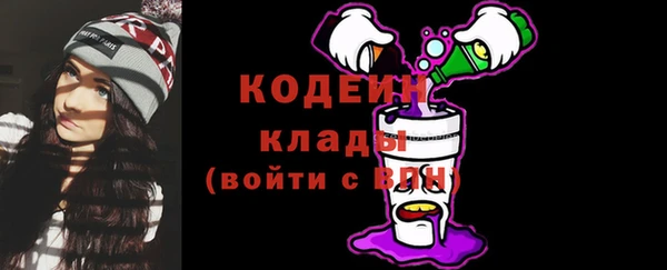 шишки Бронницы